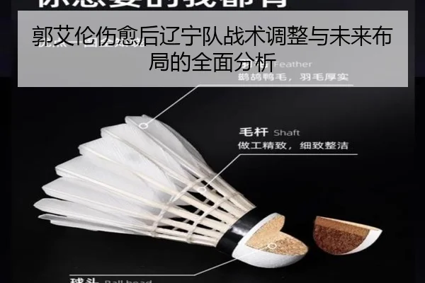 郭艾伦伤愈后辽宁队战术调整与未来布局的全面分析